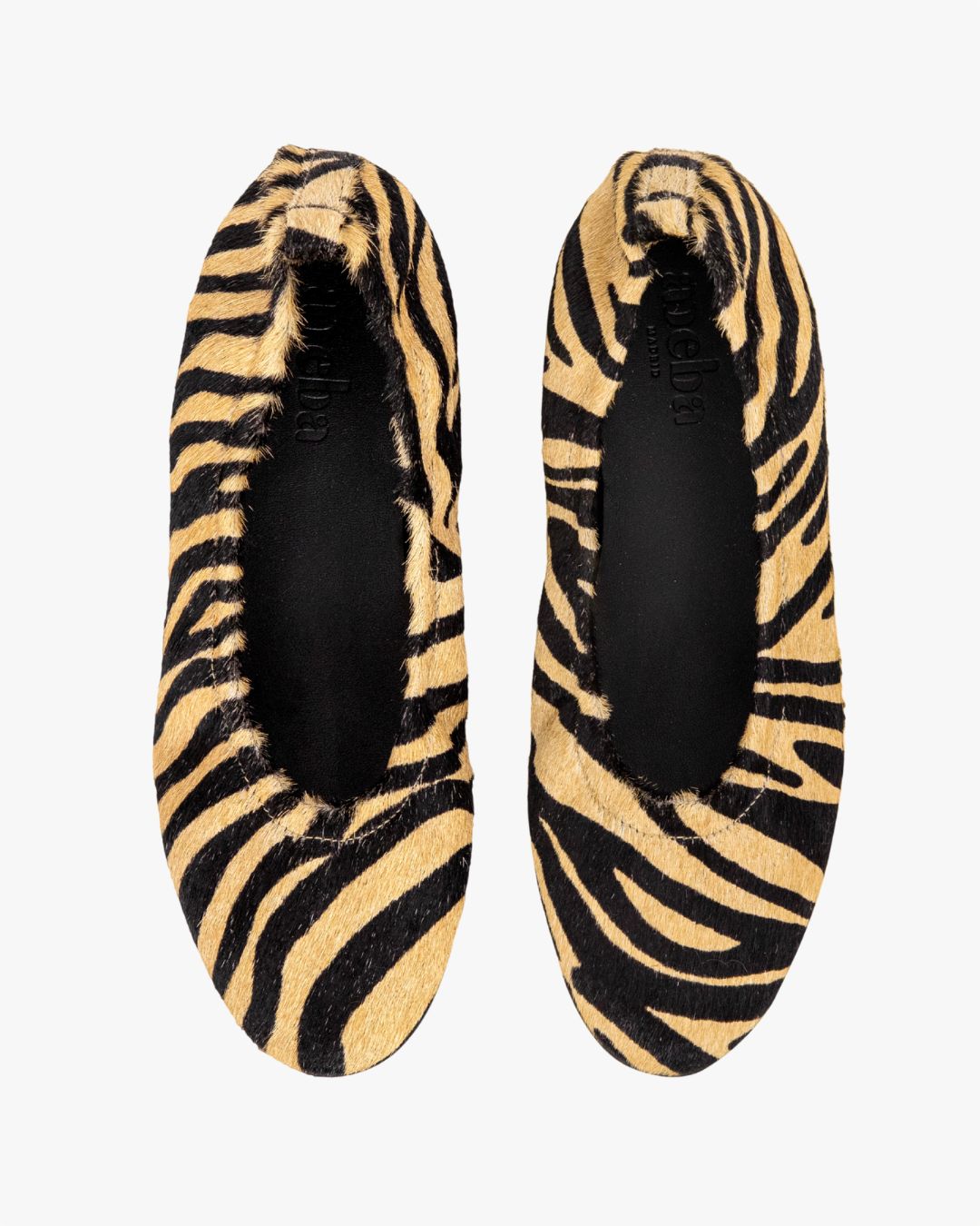 Ichi zebra