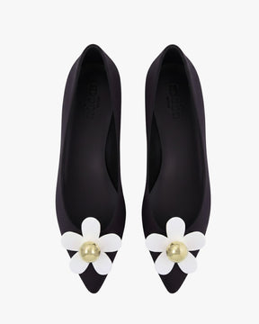 Daisy black