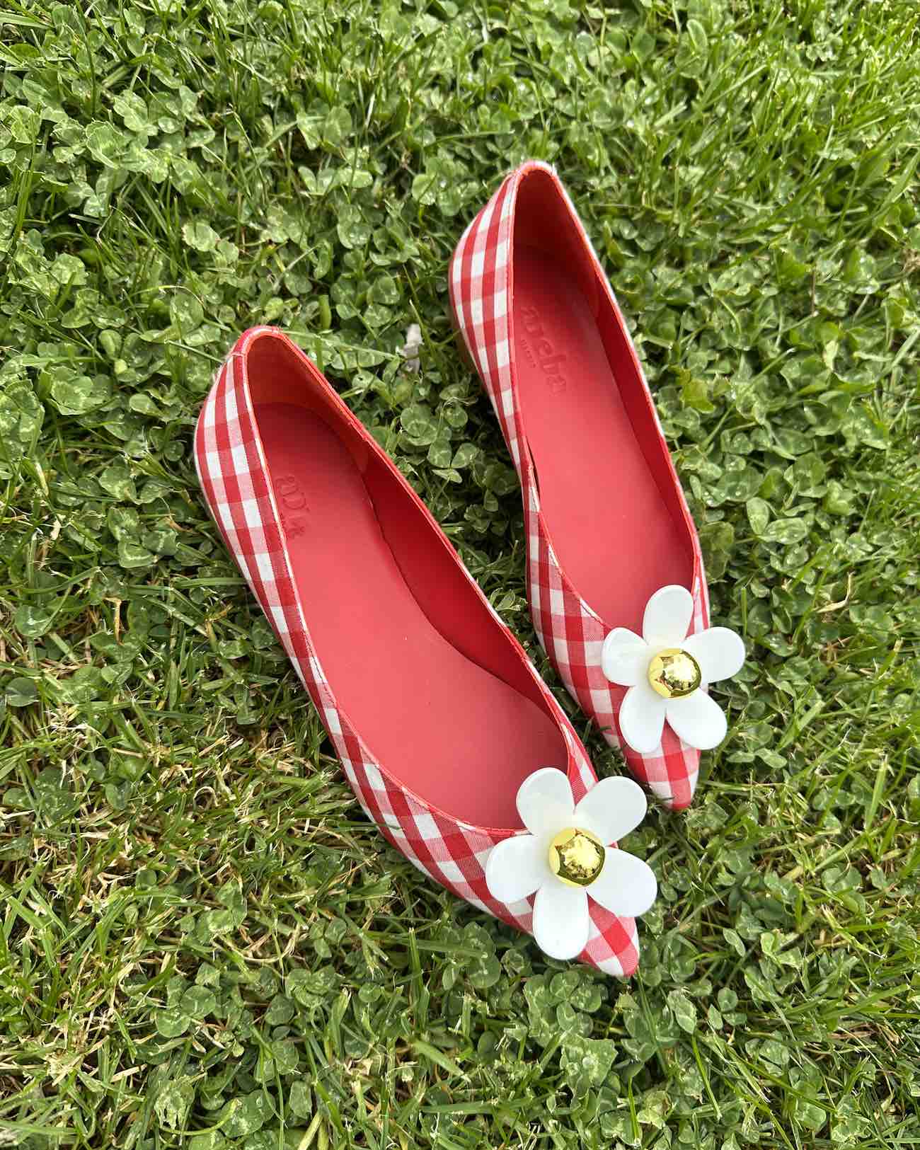 Daisy vichy red