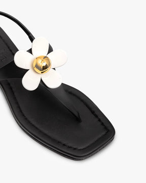 Sandalias Daisy black