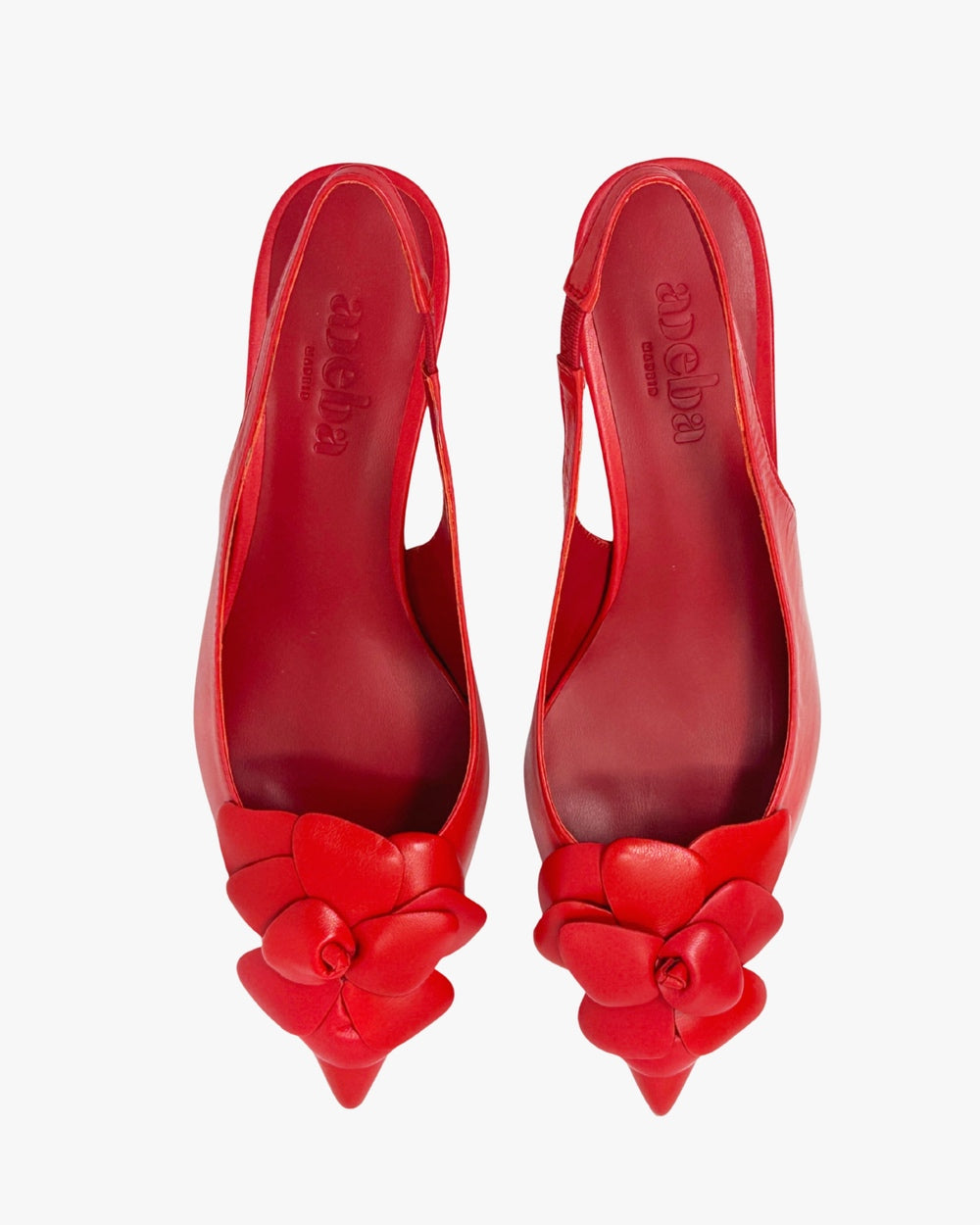 Muse flower red